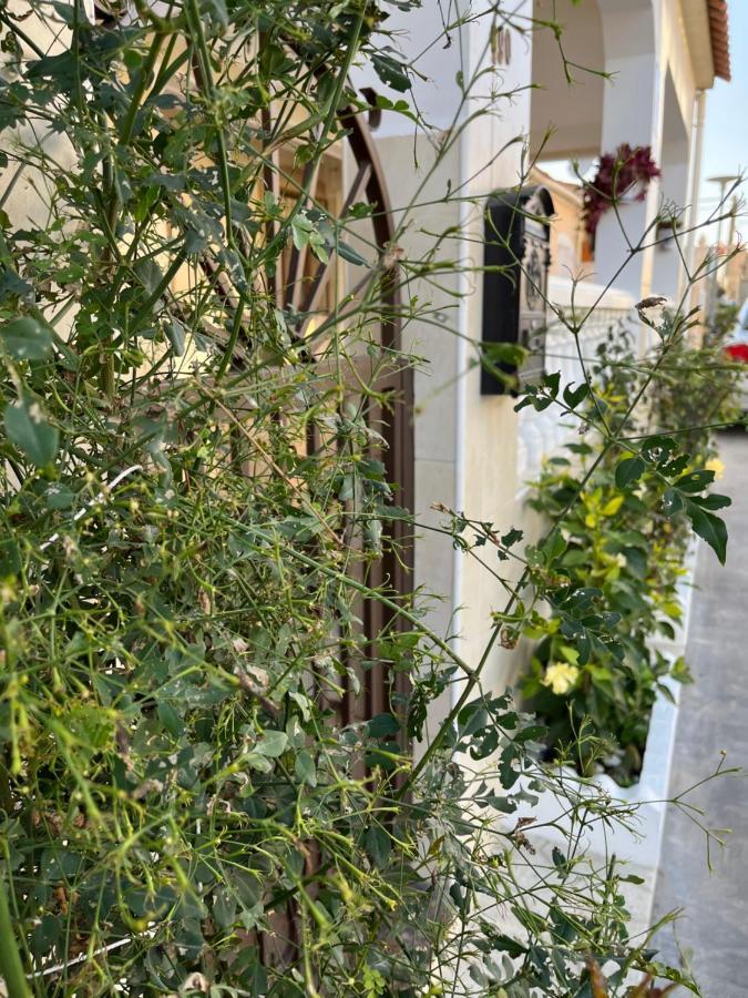 La Marina Urb, Beautiful 4 Bedroom House, Alicante, San Fulgencio, Spain Eksteriør billede